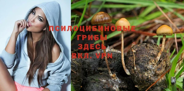спиды Волоколамск