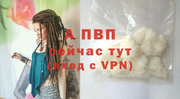 спиды Волоколамск